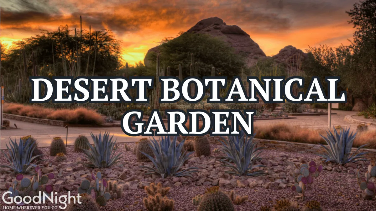 This image features desert flora, a mountain backdrop, and winding walking paths, evoking the natural beauty found in Scottsdale parks such as Papago Park and Chaparral Park. The tranquil scene invites outdoor exploration and is well-suited for walking pets along scenic trails.